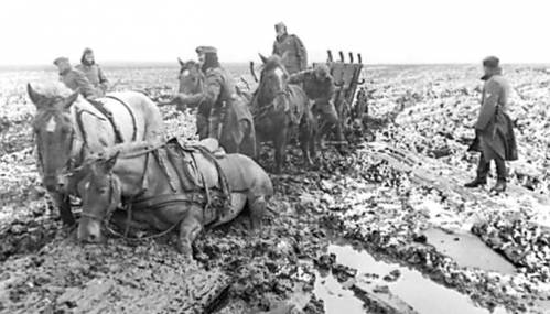 лошади немецкой армии завязли в грязи